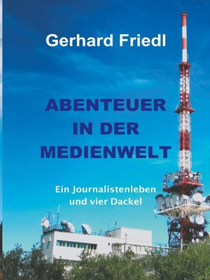 cover image of Abendteuer in der Medienwelt